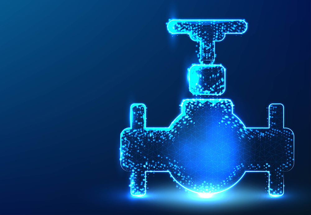 Gate Valve :  Used for on-off control.
Globe Valve :  Used for flow regulation